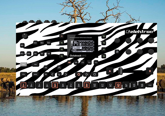 SAFARI