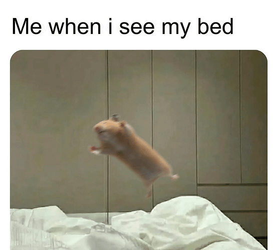 see-my-bed