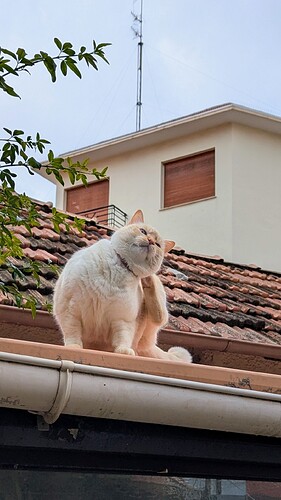 PXL_20260208_101755774~2