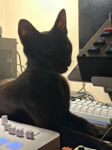 photo_2026-01-24_23-29-37