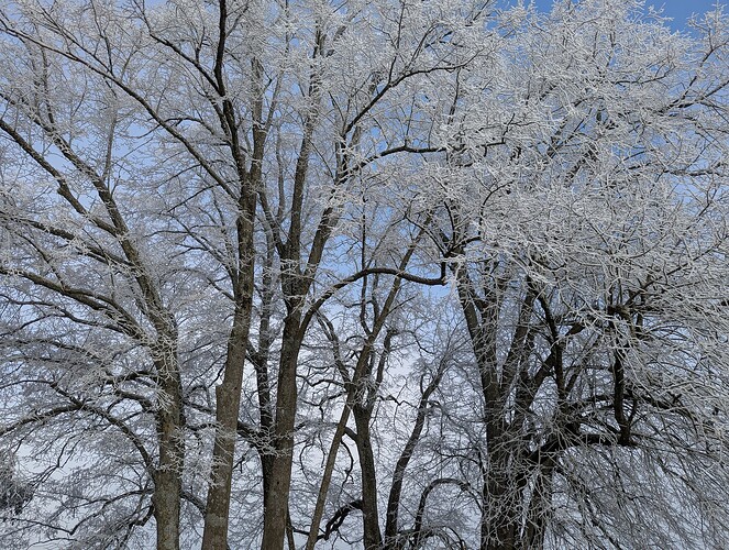 PXL_20260105_103947028