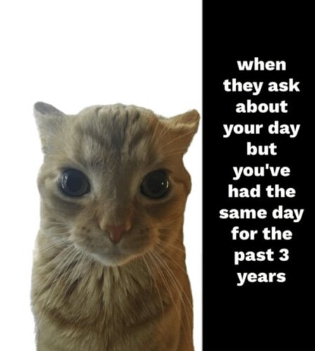 they-ask-about-day-but-had-same-day-past-3-years