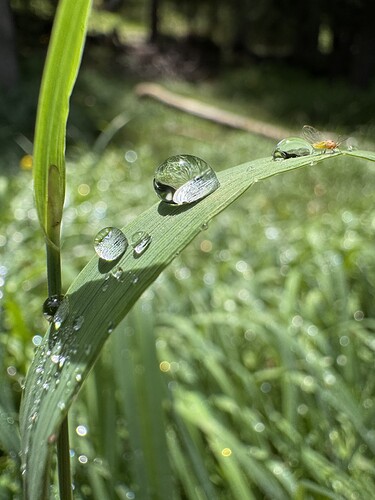 IMG_4256