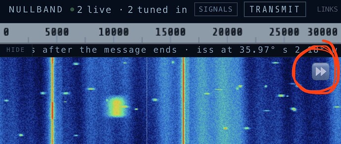 IMG_9537