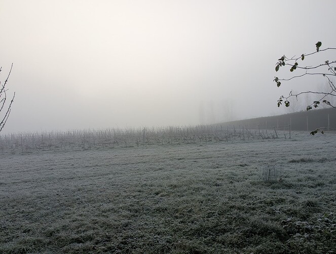 PXL_20260104_084359537