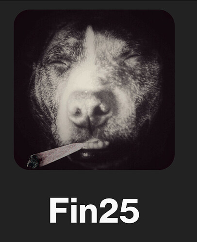 Fin25_Spliff
