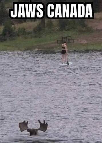 jaws canada