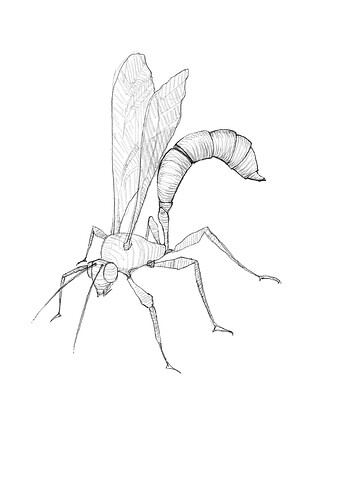 Untitled - 14 September 2025 19.30