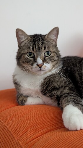 PXL_20251112_202427339.PORTRAIT