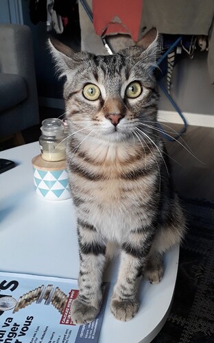 Screenshot_20260127-224847~2