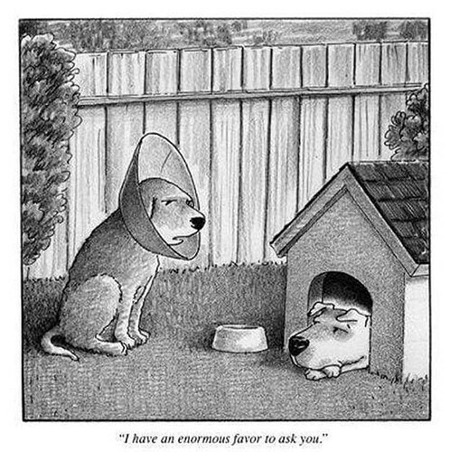 66368_n.jpg__nc_cat=102&ccb=2&_nc_sid=8bfeb9&_nc_ohc=HPG4zZefUZ8AX-NrizX&_nc_ht=scontent.fykz1-1