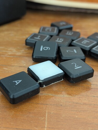 PXL_20260315_134006620.PORTRAIT.ORIGINAL