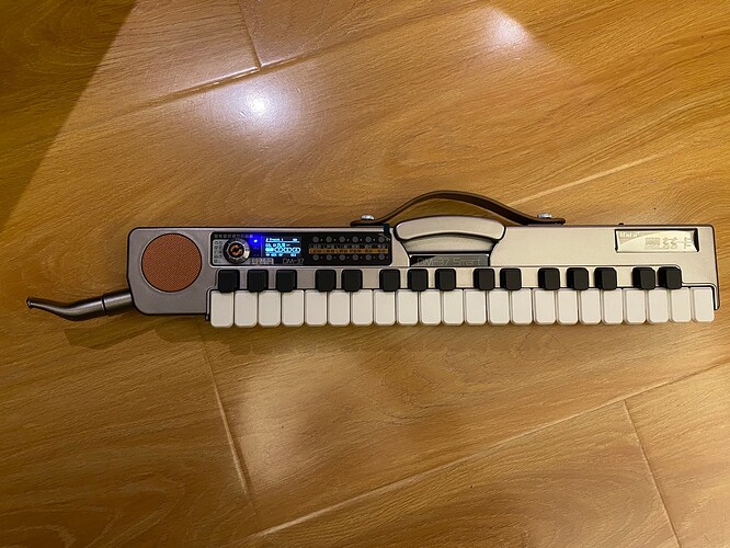 DM-37-1