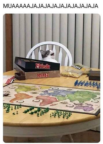 risk cat