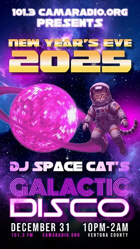 DJ Space Cat NYE Party Promo
