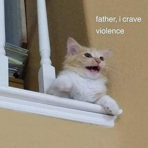 violence cat