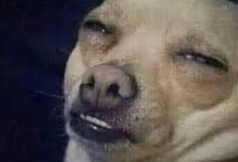 Screenshot 2025-09-25 at 16.29.10