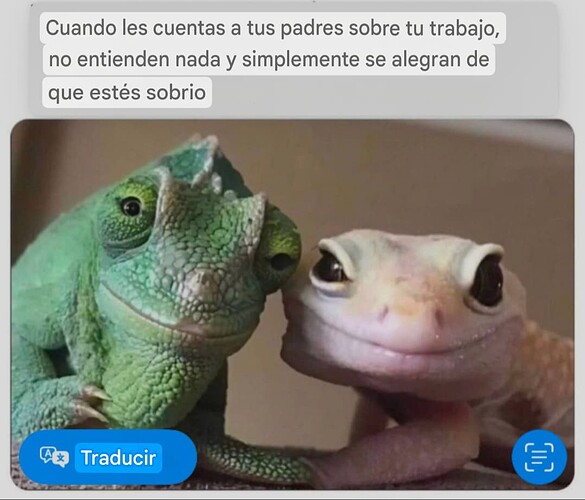 Screenshot_20251203-131337