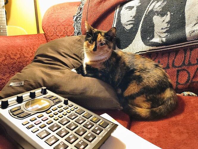 IMG_20260111_165710439