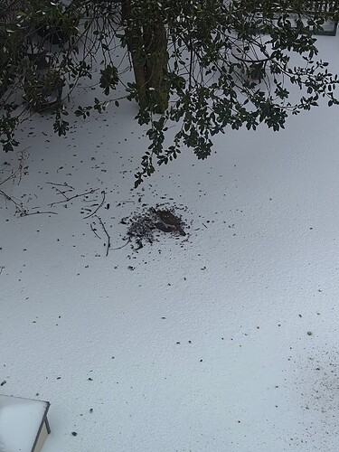 IMG_20260126_111805283