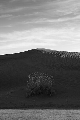 ChristmasValleyDunes2026-5