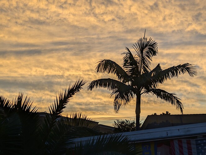 PXL_20260209_143947692