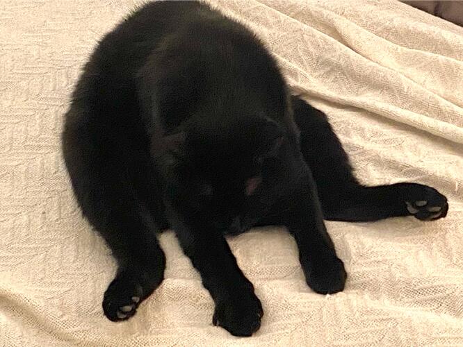 840602C1-F230-4610-A629-5D928F03DE8A_Original