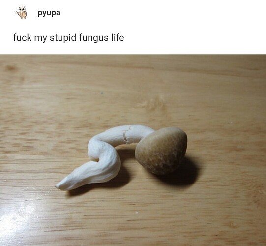 Screenshot_20251104_074027