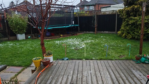 IMG_20260109_081655794_HDR