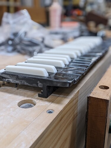 PXL_20251212_190827678.PORTRAIT