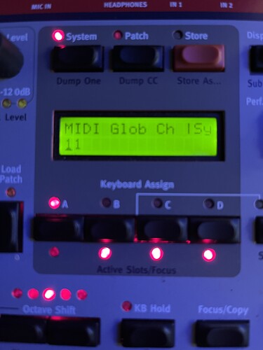 IMG_5279