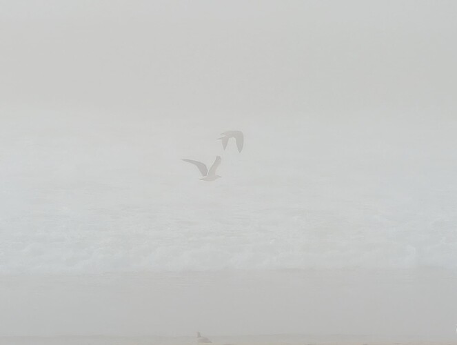 PXL_20260120_214607180