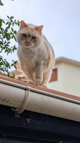 PXL_20260208_101813274.PORTRAIT~3