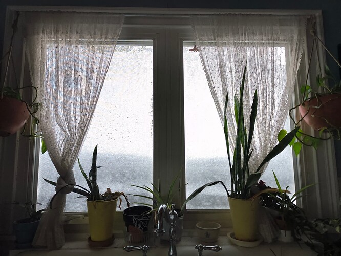 IMG_20260223_095337669