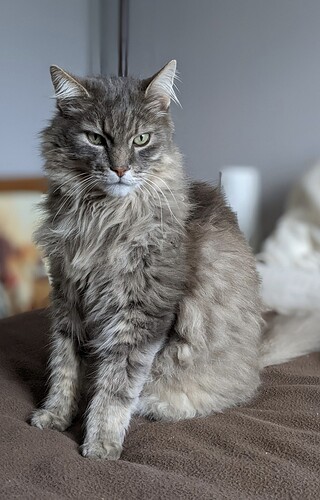 Screenshot_20260127-224933~2