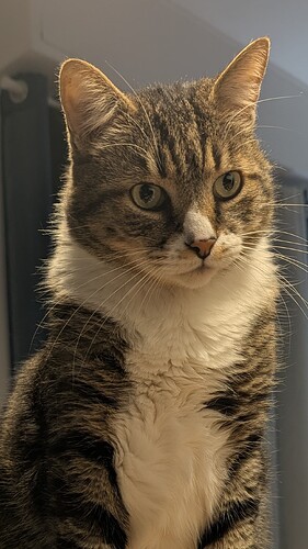 PXL_20260114_180609253