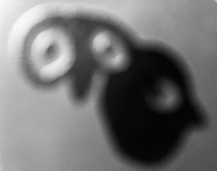 6E82D7CF-709E-430A-8DEB-1CD8CB7C96C9_1_201_a