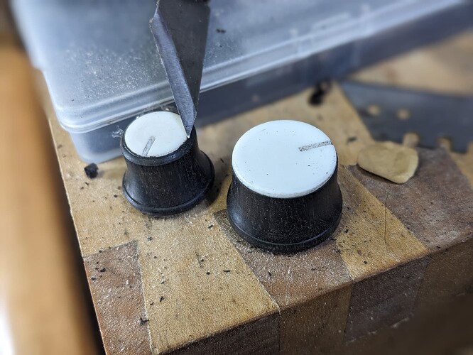 PXL_20260103_041317479.PORTRAIT