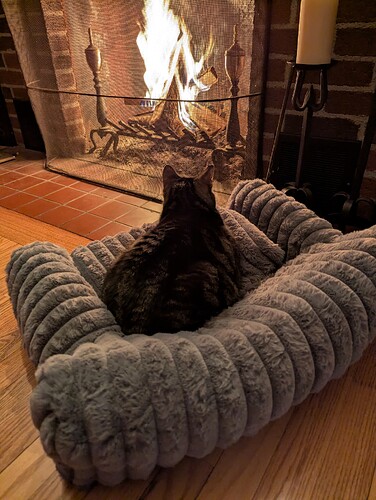 PXL_20260105_214323518