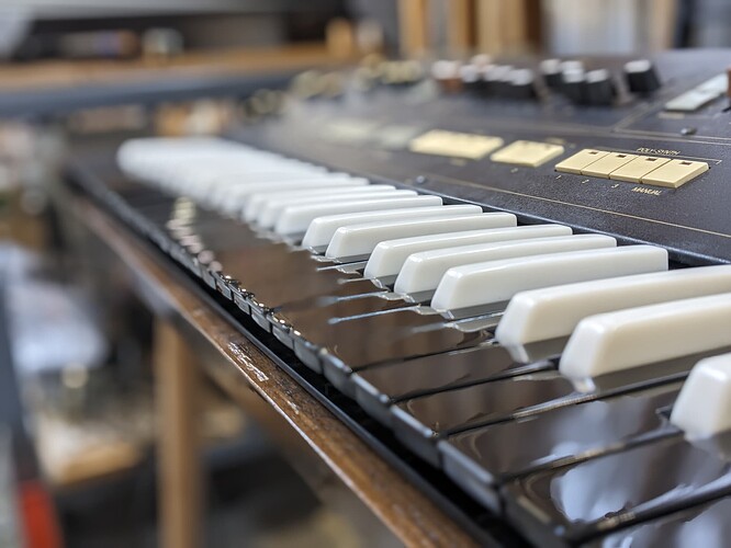 PXL_20251213_001535296.PORTRAIT