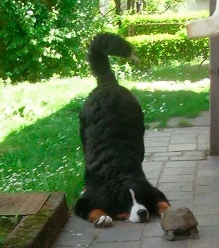 1757681833206846400289170517949