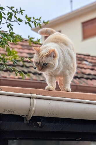 PXL_20260208_101811100.PORTRAIT~2