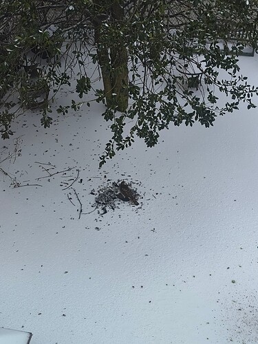 IMG_20260126_111847541