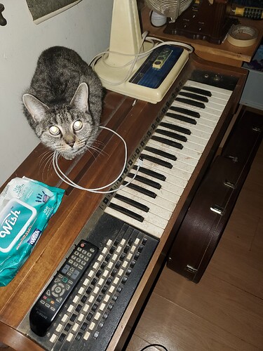 17602425007137403646501023698503