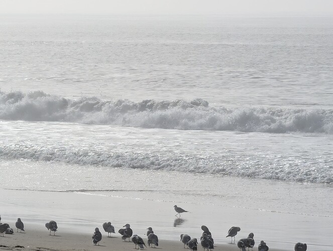 PXL_20260203_224348420