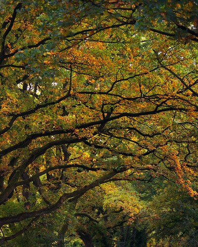 20251008_0001_01_small