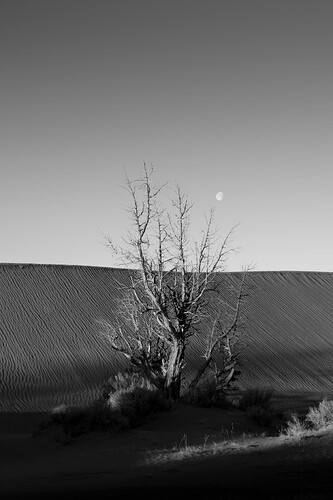 ChristmasValleyDunes2026-4