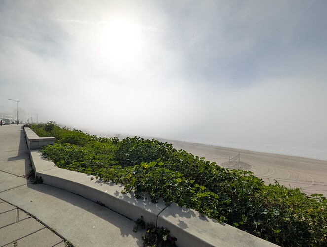 PXL_20260120_214219335