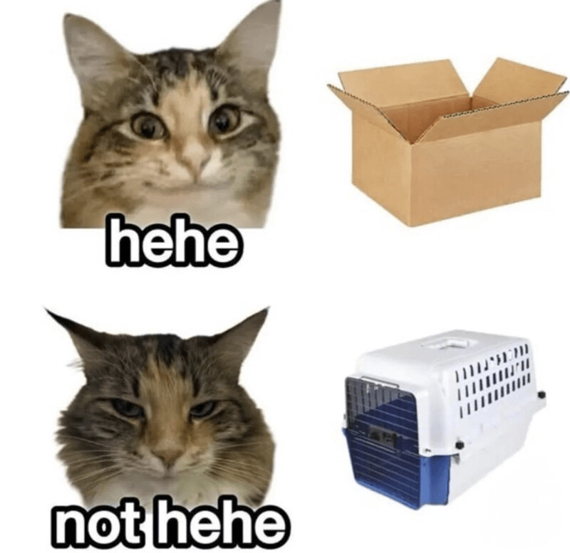 38bca355333737e787a3949ade864881baa959a0