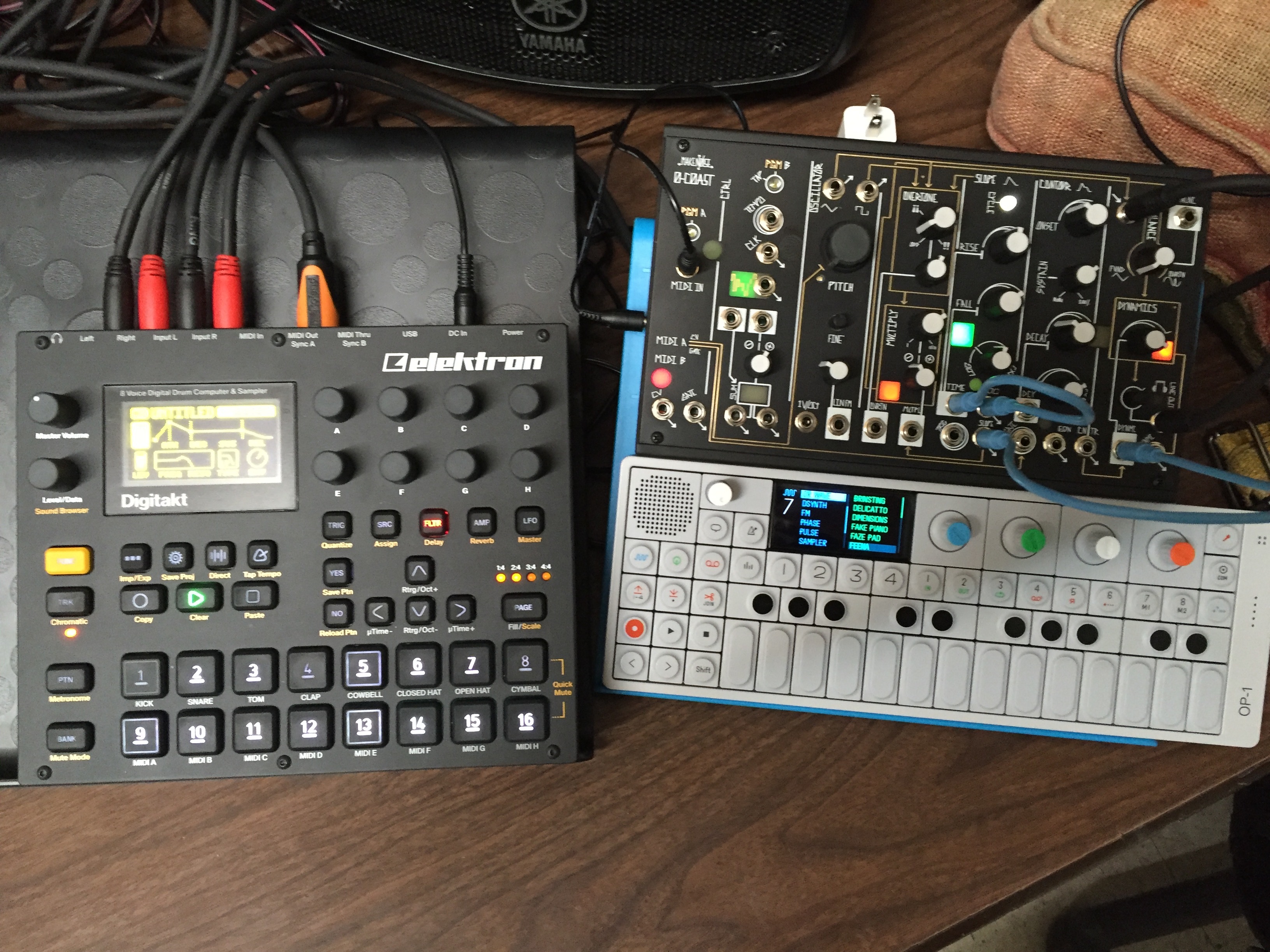 Make Noise 0-coast - Page 16 - Other Gear - Elektronauts
